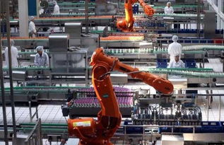 大型裝備制造項(xiàng)目生產(chǎn)計劃管理全攻略 從理論到實(shí)踐的信息技術(shù)應(yīng)用與咨詢指南