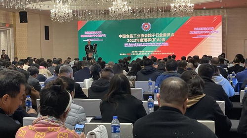 粽香飄四海，百億啟新程——2023全國粽子行業理事會擴大會議暨文化藝術交流活動圓滿召開
